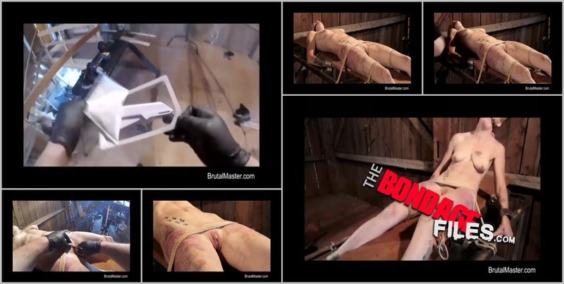 PigStapledCunthole [2020, Brutalmaster, BDSM, Torture, Corporal Punishment, 480p, SiteRip]