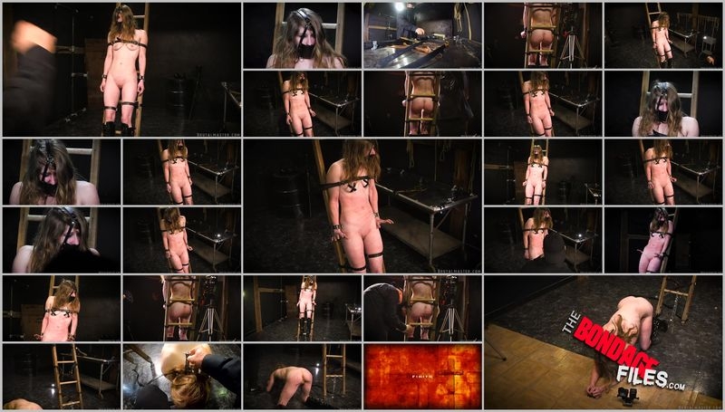 KittyLadderOfPain [2020, Brutalmaster, BDSM, Bondage, Corporal Punishment, 1080p, SiteRip]