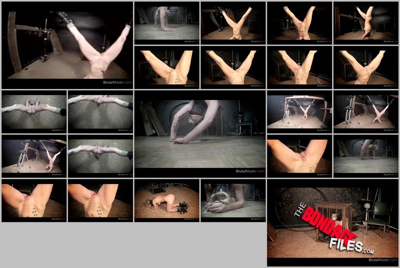 PigUpsideDown [2020, Brutalmaster, Torture, Sadism and Masochism, Bondage, 480p, SiteRip]