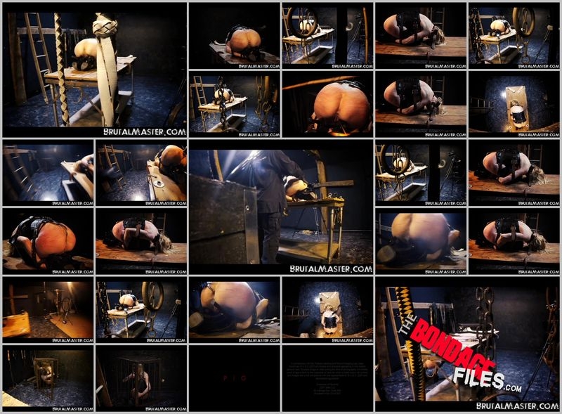 PigPackagesForPunishment [2020, Brutalmaster, Corporal Punishment, Torture, Bondage, 480p, SiteRip]