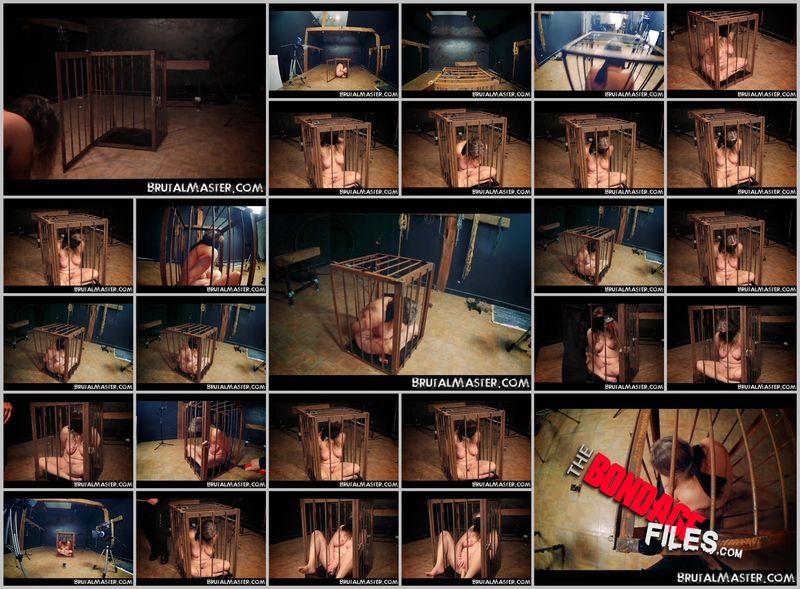 UddersBlueberryPancakes [2020, Brutalmaster, Torture, Sadism and Masochism, Bondage, 480p, SiteRip]