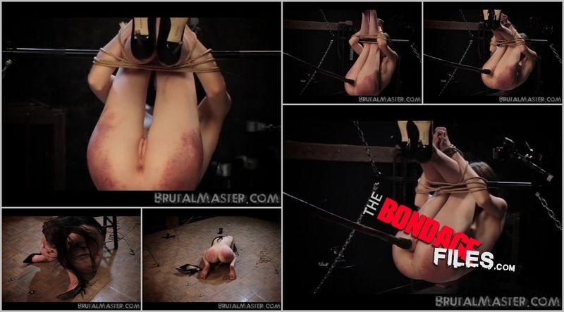 Download WednesdayParrotPerchTorture 2020 Brutalmaster Bondage