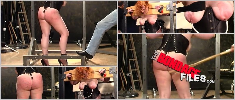tinkerhamburgerasslarge [2020, Brutalmaster, Corporal Punishment, BDSM, Bondage, 252p, SiteRip]