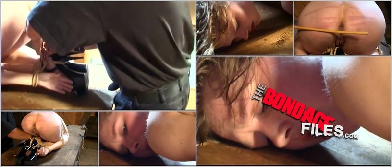 starpackagebondagelarge [2020, Brutalmaster, Bondage, Corporal Punishment, Torture, 252p, SiteRip]