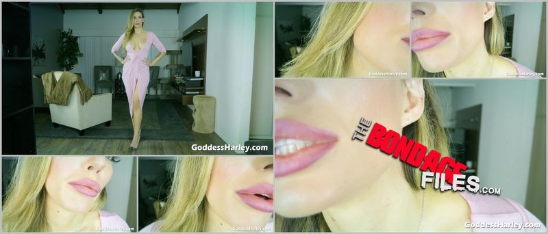 Goddess Harley (Cum Eater Whisperer) [2020, GoddessHarley / Clips4sale, Jerk Off Instructions, CEI, Big Tits, 1080p, HDRip]