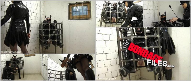 AR-P-Caged-1 [2020, KinkyPonygirl, Buttplug, Ponygirl, Toys, 1080p]