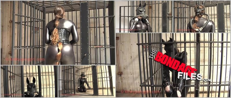 PonygirlDreams [2020, KinkyPonygirl, Toys, Fetish, Buttplug, 360p]