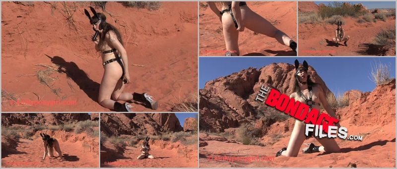 Valley of Fire - DP [2020, KinkyPonygirl, Fetish, Buttplug, Toys, 338p]