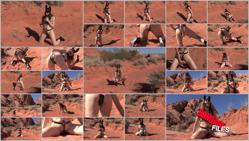Valley of Fire - DP [2020, KinkyPonygirl, Fetish, Buttplug, Toys, 338p]