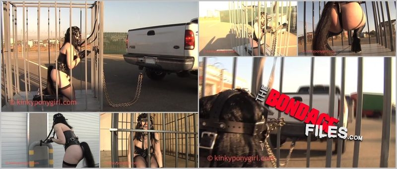 Cage Ride [2020, KinkyPonygirl, Buttplug, Ponygirl, Toys, 360p]