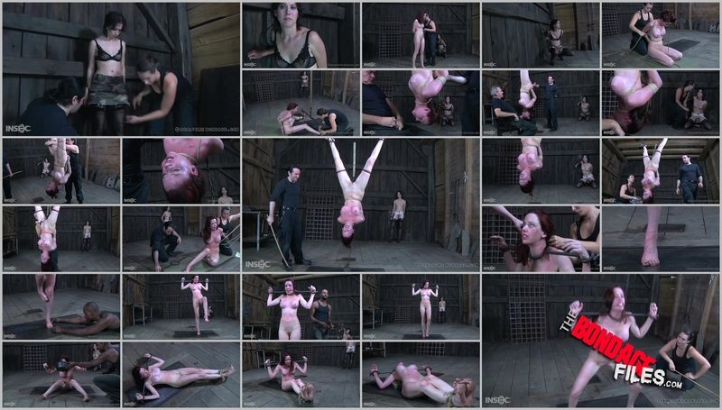412, Sister Dee - Good Slut Part Two [2020, RealTimeBondage, Caning, Zapper, Cage, 478p, SiteRip]