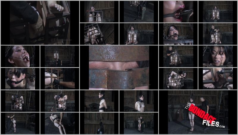 Felonie (Caged BONUS) [2015, InfernalRestraints, Humiliation, Torture, BDSM, 720p, HDRip]