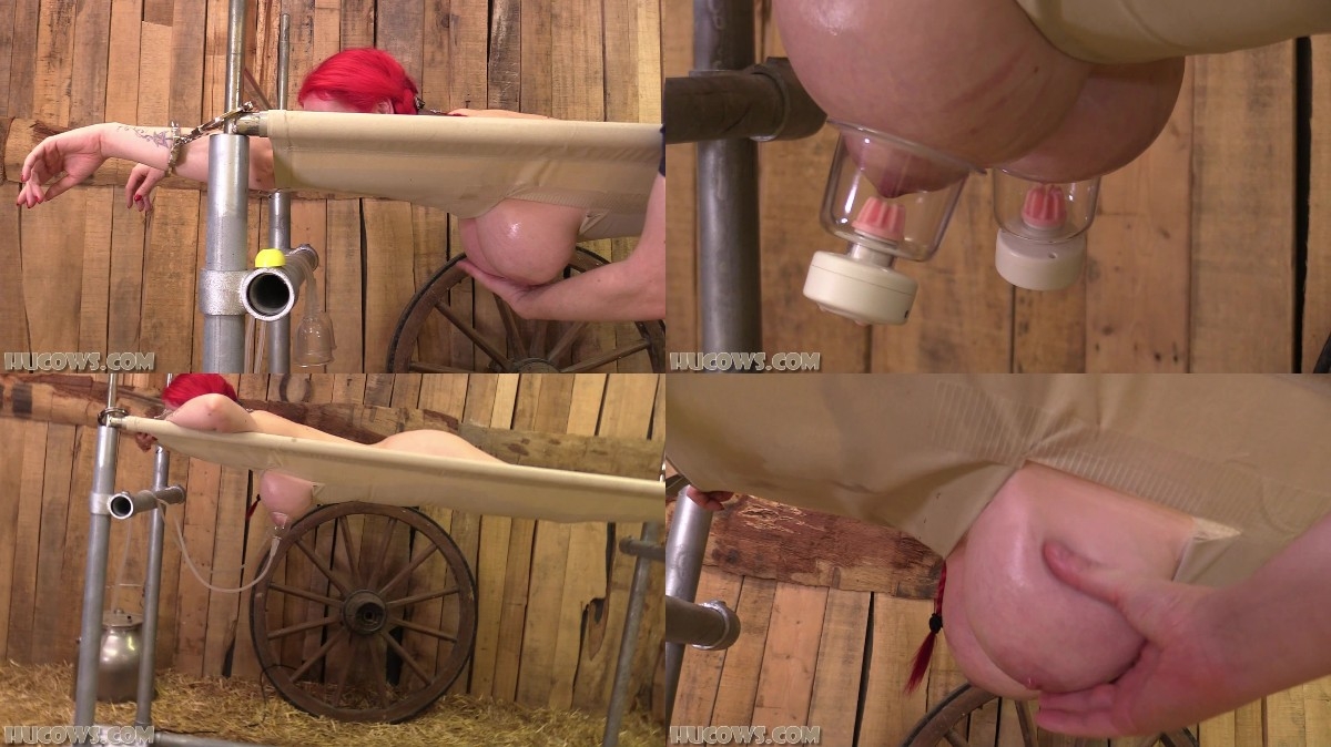 Jasmine James - back in the barn new bdsm porn videos