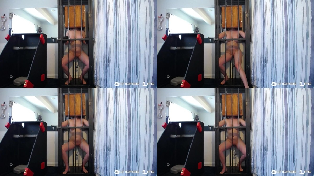 Cagged Greyhound (Headbox Edition) - 04 24 23 new bdsm porn videos