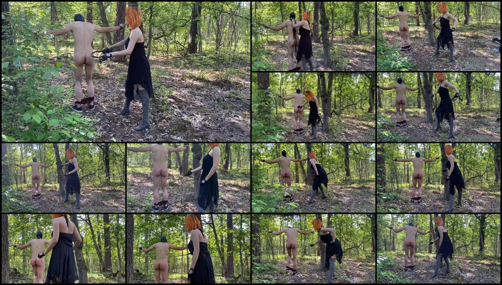 Lady Dark Fairy - I found this poor guy in between trees and I just made his day better