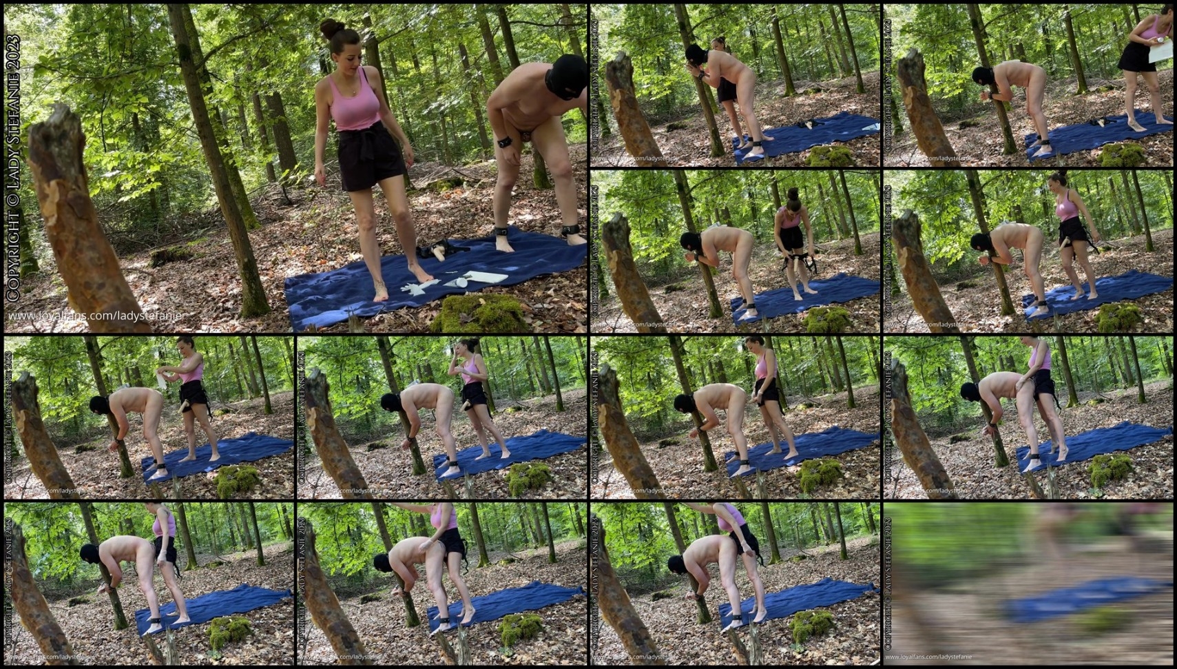 Lady Stefanie - Fucknic Fail