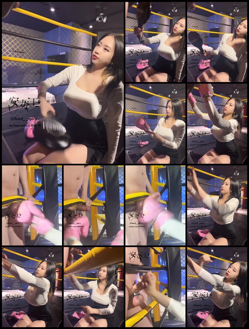 Mistress Ann - Arena Series - Boxing Gloves X Kick Training Target