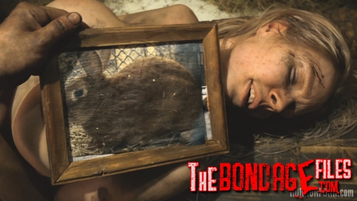 HorrorPorn – Rabbit hutch
