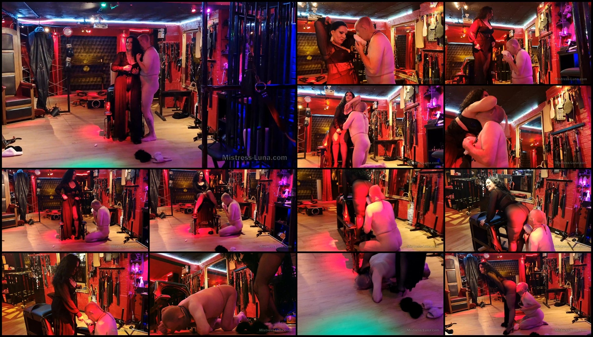 Mistress Luna - My slipper's insect part 3-Femdom Mistress Luna - My slipper's insect part 3-Femdom